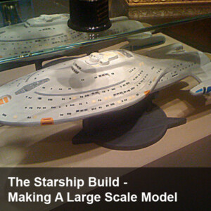 The Starship Build