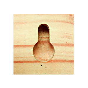 keyhole_cut_300